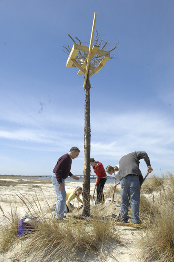 Members of HOPE, with their advisor, construct an osprey pole.