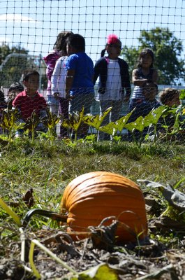 Tuckahoe students wait for their turn to go into the district pumpkin patch. BY ERIN MCKINLEY