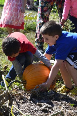 Matteus and Joseph help each other pick up a large pumpkin at the Tuckahoe pumpkin patch. BY ERIN MCKINLEY