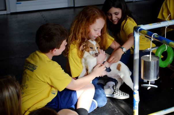 Students in Remsenburg-Speonk Elementary School's Odyssey Angels team playing with Isla, a puppy up for adoption at Bideawee in Westhampton. ANISAH ABDULLAH