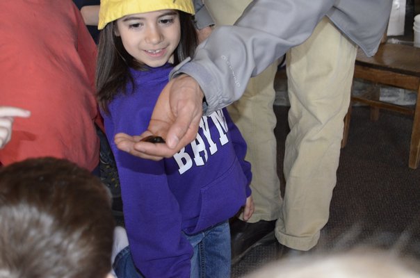 Izzy Ospitale was able to pet a cockroach at the Quogue Wildlife Refuge during the refuge's spring wildlife camp. ALEXA GORMAN