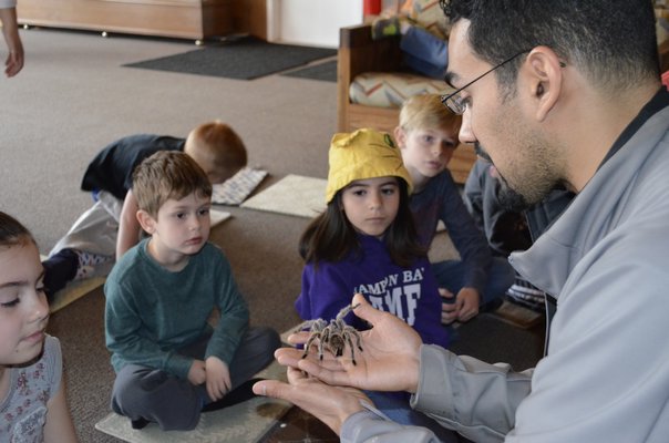 From left, Giulianna McCarthy, Henry Metcalf, Izzy Ospitale and Jake Metcalf  watch as Tony Valderrama holds a tarantula at the Quogue Wildlife Refuge. ALEXA GORMAN