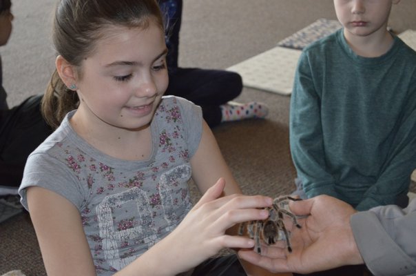 Giulianna McCarthy pet a tarantula at the Quogue Wildlife Refuge. ALEXA GORMAN