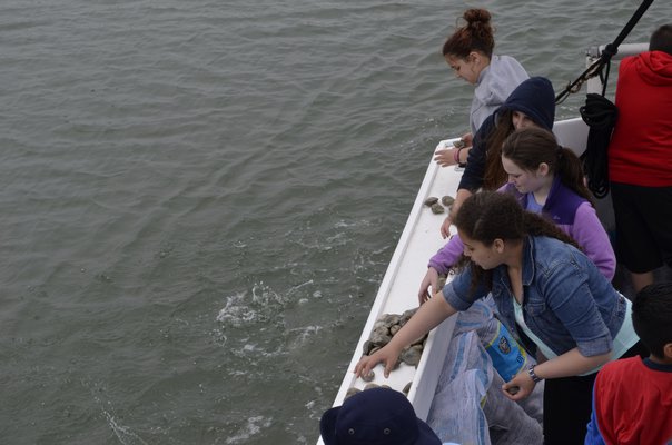 East Quogue sixth graders tossed clams into Tiana Bay as part of the Shinnecock Bay Restoration Project. ALEXA GORMAN