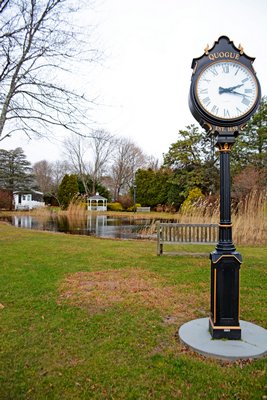 Native flora is planted around a man-made pond next to the Quogue Historical Society. JD ALLEN