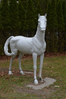 The Quogue White Horse Alexa Gorman