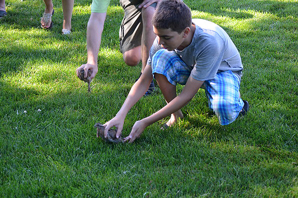Sixth-grader Luke Lamposona releasing a quail after observing it since May. ERIN MCKINLEY