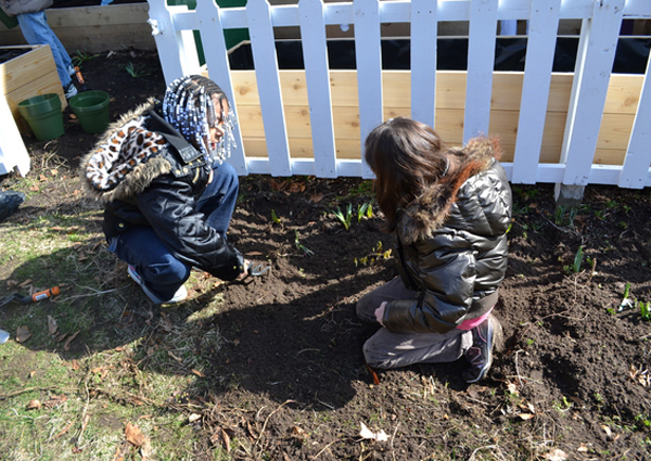 Students from Ms. Winter's second grade class at Quogue School work in their garden on Tuesday morning.