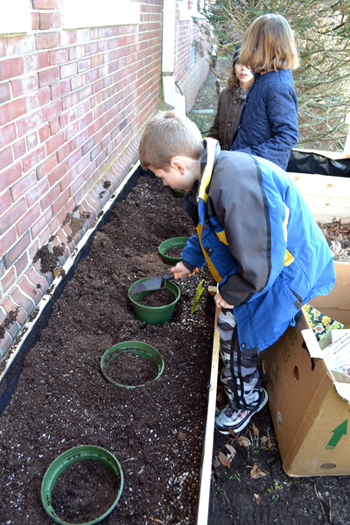 Students from Ms. Winter's second grade class at Quogue School work in their garden on Tuesday morning.