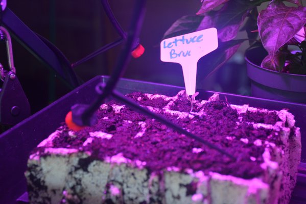 Campers learn how to farm using new technology.    COSETTE NUNEZ-VALAREZO