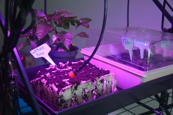 Campers learn how to farm using new technology.    COSETTE NUNEZ-VALAREZO