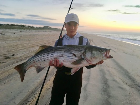 Big Stripers Cruising The Surf - 27 East