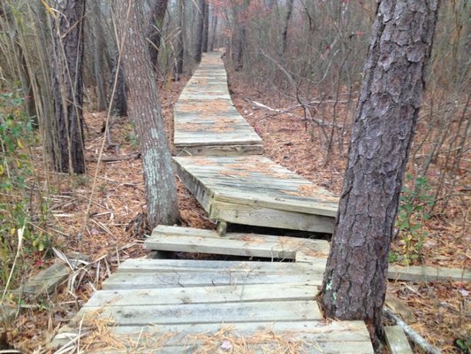The Fairy Dell Boardwalk in its current state. COURTESY MARISA NELSON