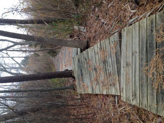 The Fairy Dell Boardwalk in its current state. COURTESY MARISA NELSON