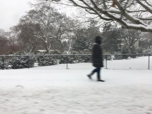 A person walks through the snow in Hampton Bays on Saturday morning.  DANA SHAW