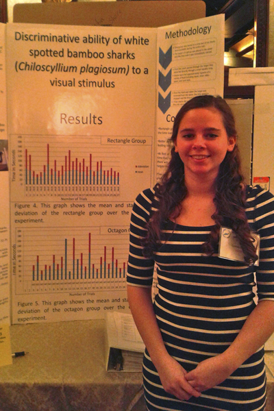 Cassidy Guida presenting her project on the white spotted bamboo shark at the Long Island Science and Engineering Fair.