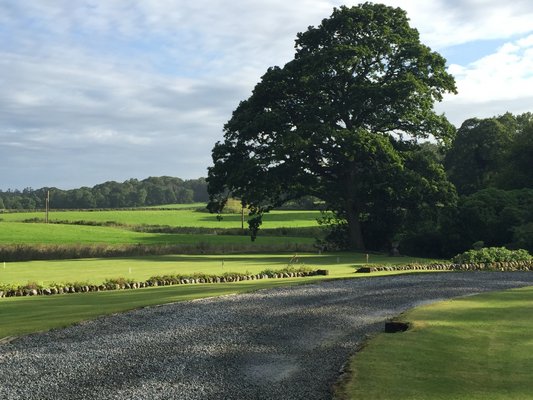 A meadow in Scotland. MARSHALL WATSON