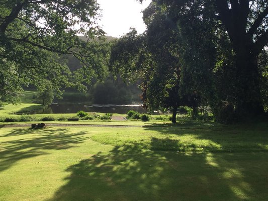 A sylvan pond. MARSHALL WATSON