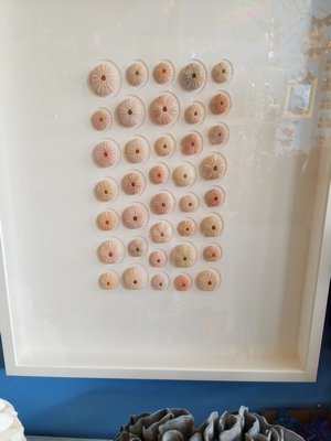 Inside Blooming Shells in Sag Harbor. JACK CRIMMINS
