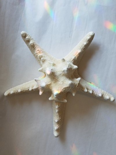 The star of the sea.   JACK CRIMMINS