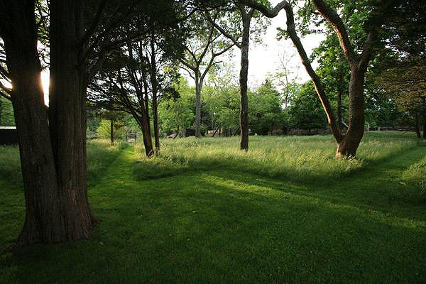 Use mowing to bring definition to wild lawn areas. COURTESY EDWINA VON GAL