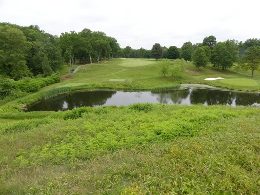 At this golf course, stormwater runoff enters the pond from an adjacent neighborhood to the right and, as a result, the pond has tested high for several pollutants. The vegetated buffer and hillside in the foreground tend to mitigate and filter any runoff from the course that might get close to the wetland and water.  ANDREW MESSINGER