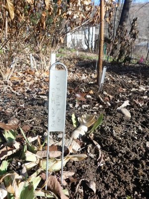 "Hairpin" plant labels from Paw Paw cost about a dollar each. Write on them with a #2 pencil and with the long wire stem this label will stay put and be readable for years and years. Great as stocking stuffers. ANDREW MESSINGER