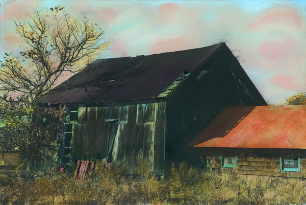 "The Ole' Duck Barn" By Mia Wisnoski