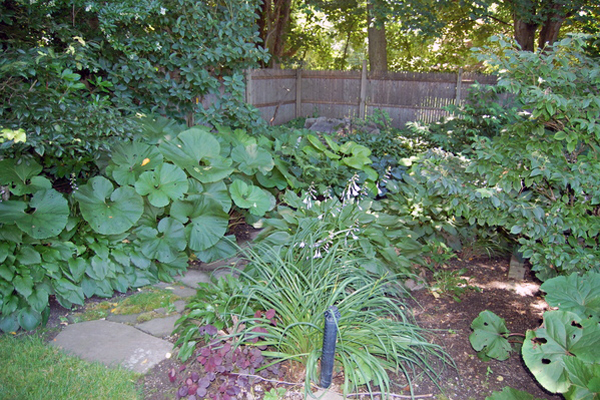 Southampton Village garden.  Dawn Watson