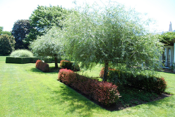 Bridgehampton estate garden.  Dawn Watson