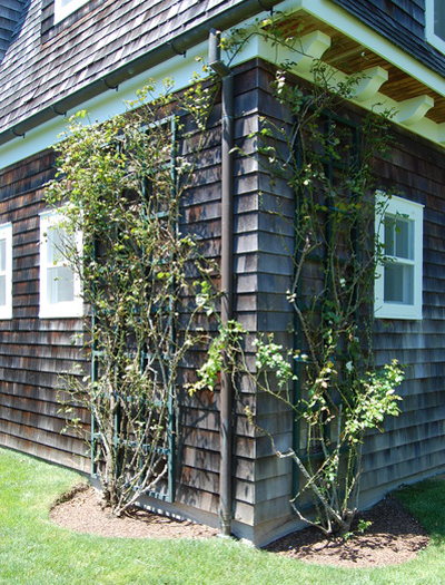 Bridgehampton estate garden.  Dawn Watson