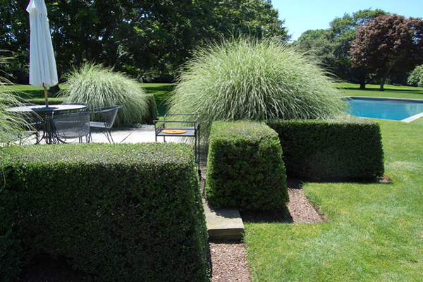 Bridgehampton estate garden.  Dawn Watson