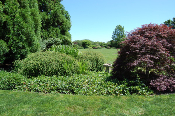 Bridgehampton estate garden.  Dawn Watson