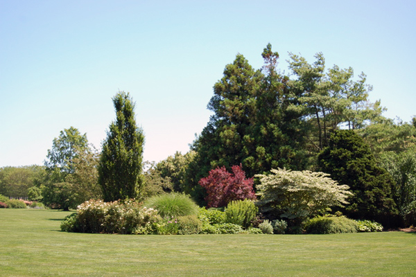Bridgehampton estate garden.  Dawn Watson