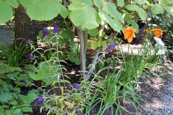 Sagaponack garden.   Dawn Watson