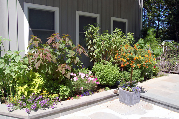 Sagaponack garden.   Dawn Watson