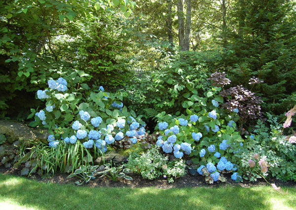 Sagaponack garden.   Dawn Watson