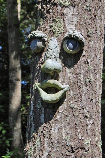 Sagaponack garden.   Dawn Watson