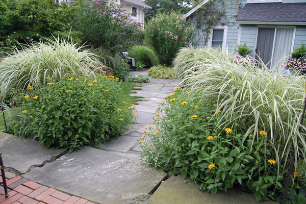 Southampton Village garden.  Dawn Watson