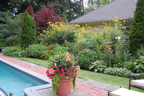 Southampton Village garden.  Dawn Watson