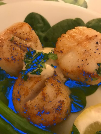 Seared scallops with sauce BY JANEEN SARLIN