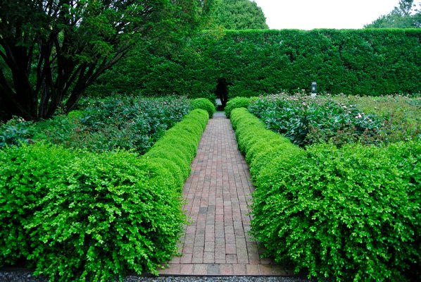 The gardens of Alex Goren and Brooke Kroeger in East  Hampton.  DANA SHAW