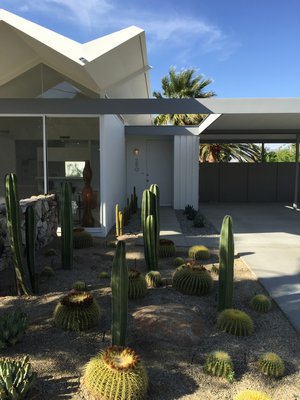 Wexler in Palm Springs. MARSHALL WATSON