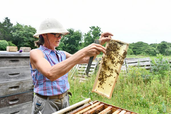 Beekeeper Mary Woltz with her hives at Marder's in Bridgehampton.  DANA SHAW