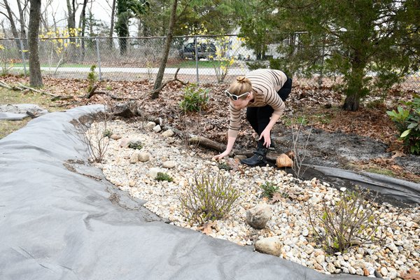 Stephanie Miller works in the rain garden.