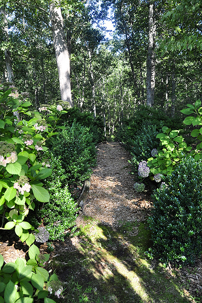 A backyard path leads to acres of woods. MICHELLE TRAURING