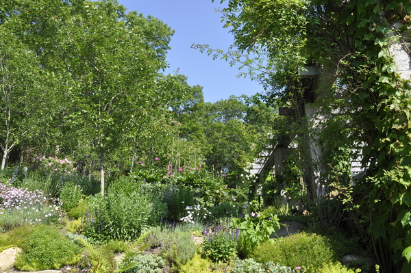 The Bridgehampton garden of Herb and Karen Friedman.
