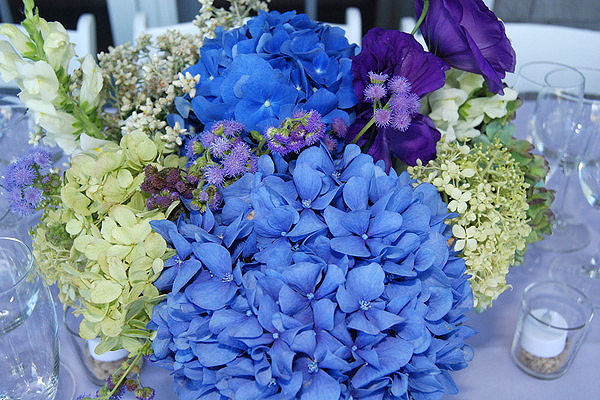 Close up on the table flowers.  BARBARA GAINES