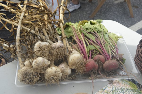 Despite the heat, the Hamptons Preventive Health and Sustainable Technology Expo held at Dodds and Eder in Sag Harbor last weekend drew about thirty exhibitors and hundreds of visitors throughout the two days. BRANDON B. QUINN PHOTOS