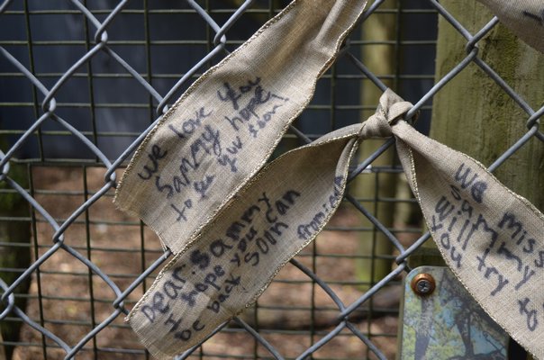 Quogue Wildlife Refuge visitors tied heartfelt notes at the bald eagle's enclosure, where he was stolen from Tuesday morning. Many visitors nicknamed him 